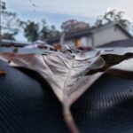 la-naturaleza-es-bonita